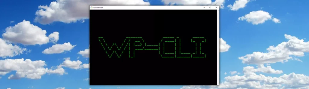WP-CLI: WordPress Prozessoptimierung für Agenturen